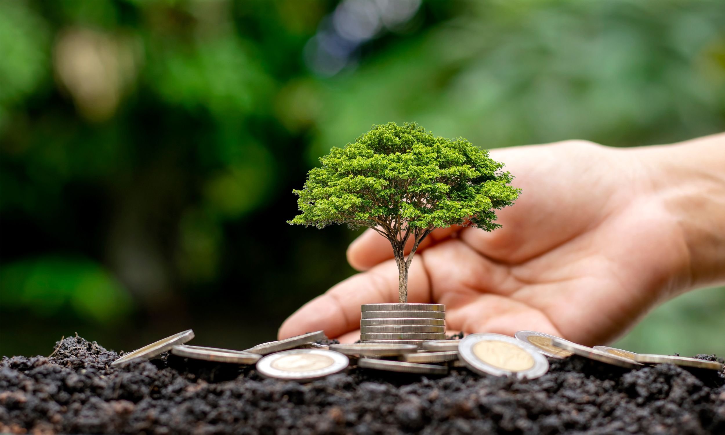 Sustainability for Industry